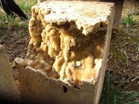 /album/fotogaleria-inicio/dsc03119-jpg/