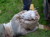 /album/fotogaleria-inicio/dsc02506-jpg/