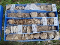 /album/fotogaleria-inicio/dsc02507-jpg/