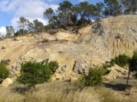 /album/fotogaleria-inicio/dsc02546-jpg/