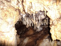 /album/fotogaleria-inicio/dsc02775-jpg/